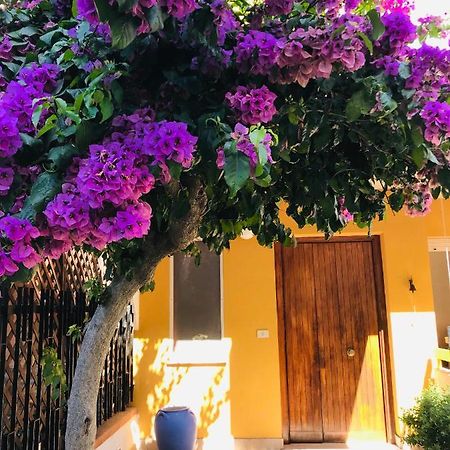Le Stanze Di Botticelli Acomodação com café da manhã Termoli Exterior foto